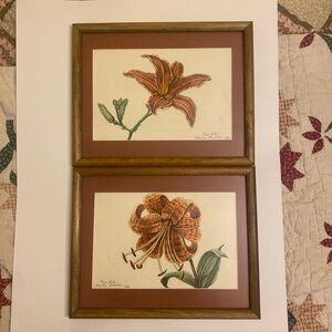 Original Botanical Watercolors Day Lily & Tiger Lily Framed Signed & Dated 1989